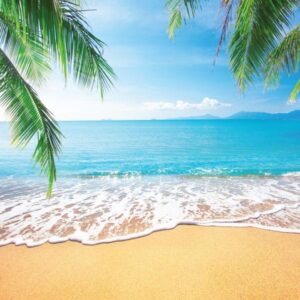 HAMPTONS CANDLE – PALM BEACH – SEA SPRAY AND COCONUT